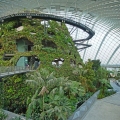 cloud_forest2c_gardens_by_the_bay2c_singapore_-_20120617-05